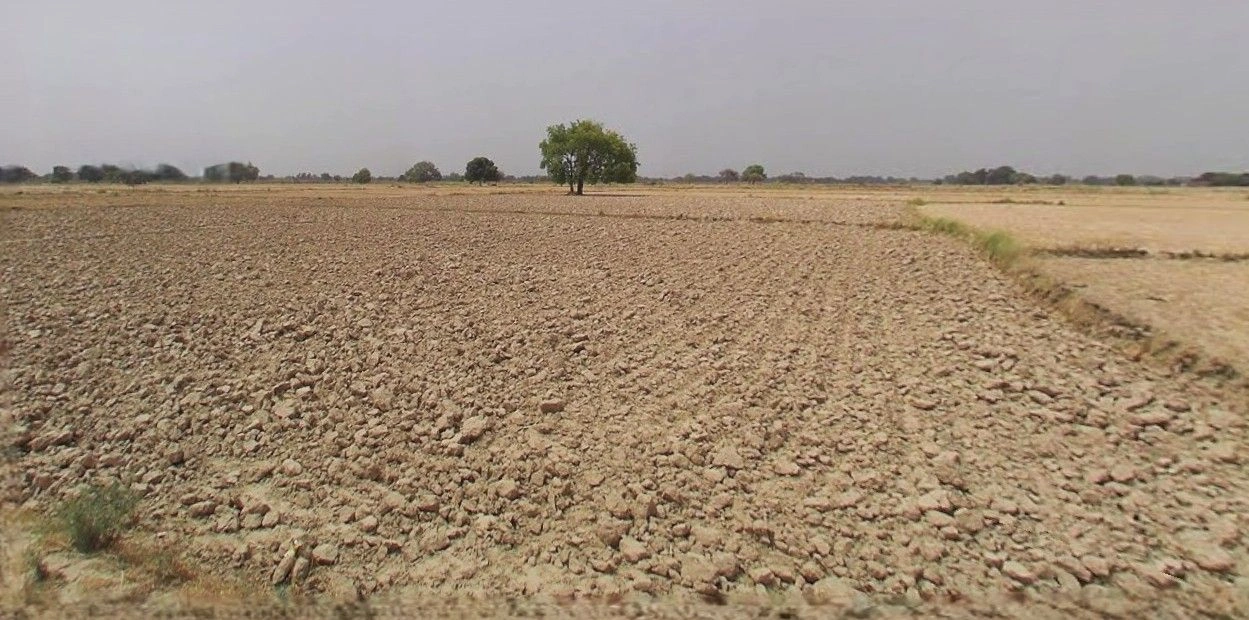 29XH+2CJ Tehsil, Barnagar, Madhya Pradesh 456771, India
