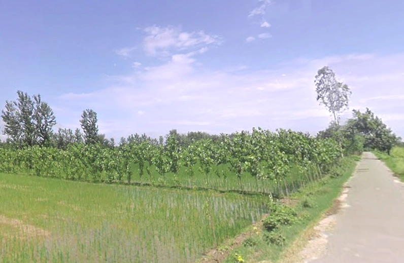 Maheshwari khurd, Uttar Pradesh 247120, India