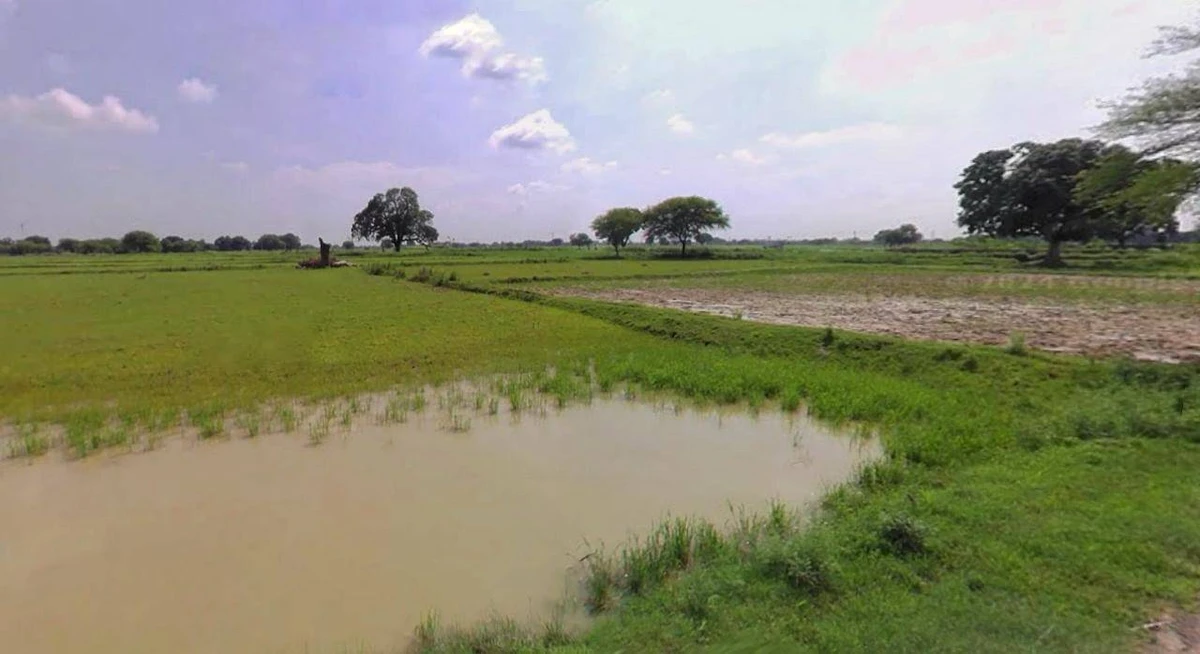 Sri Ganganagar, Rajasthan, India