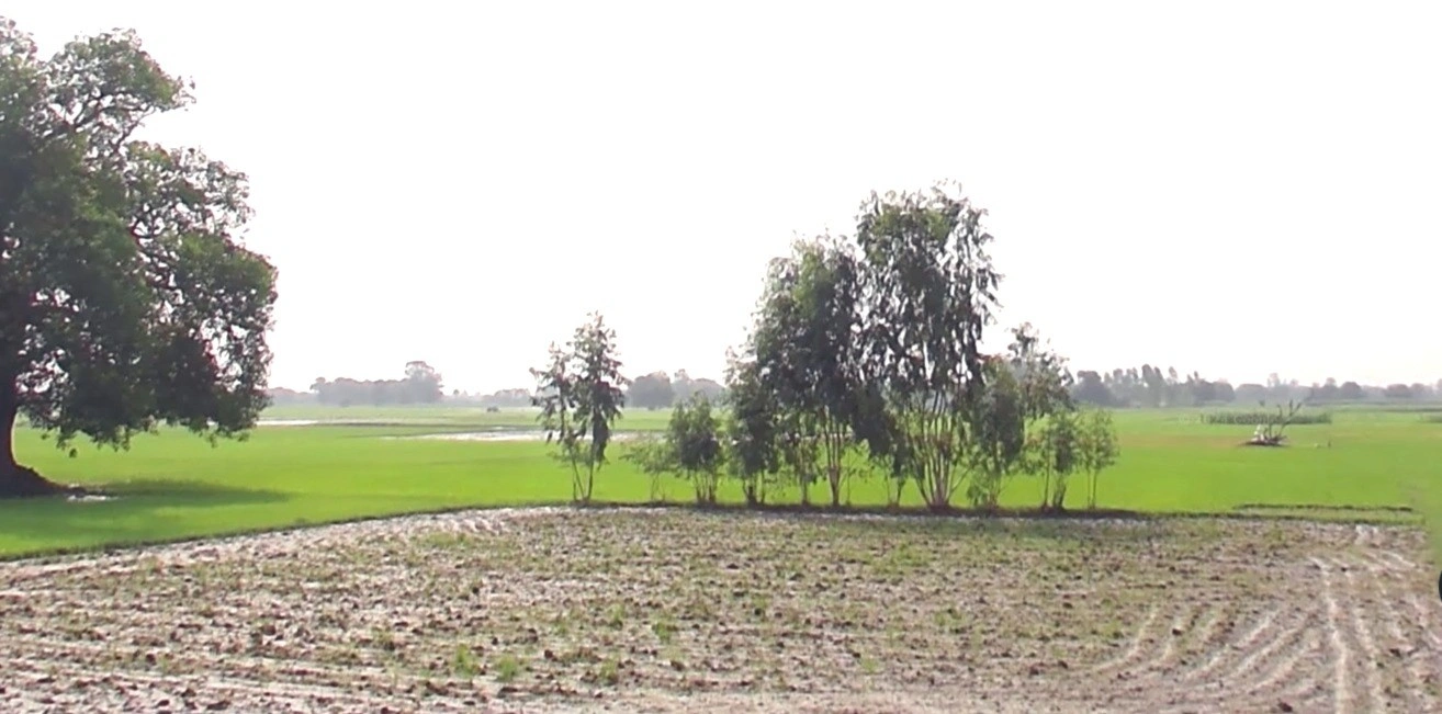 Tilawad Govind, Madhya Pradesh 465110, India