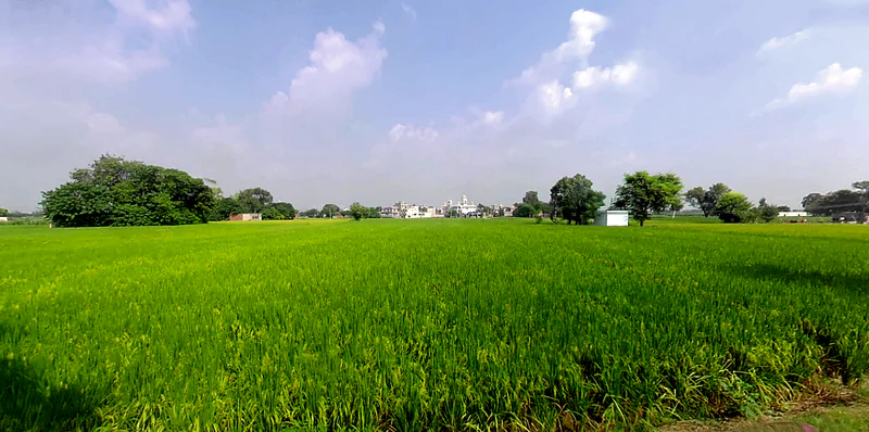 Dada Patti, Uttarakhand 247662, India preview 2