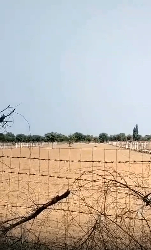 MR2F+W5C, Teetriya, Rajasthan 303903, India