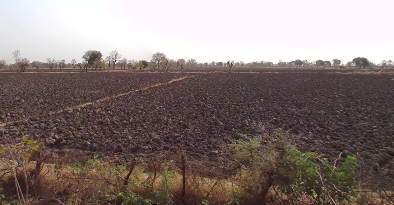 Tanodiya, Madhya Pradesh, India