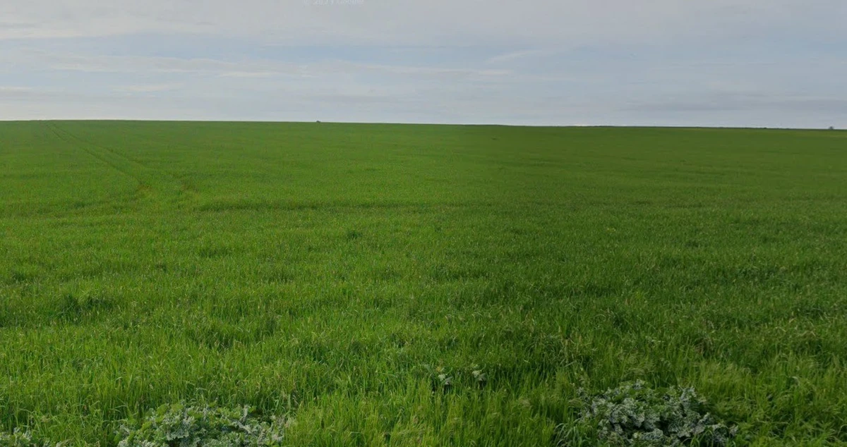 Uradmau, Madhya Pradesh 471411, India