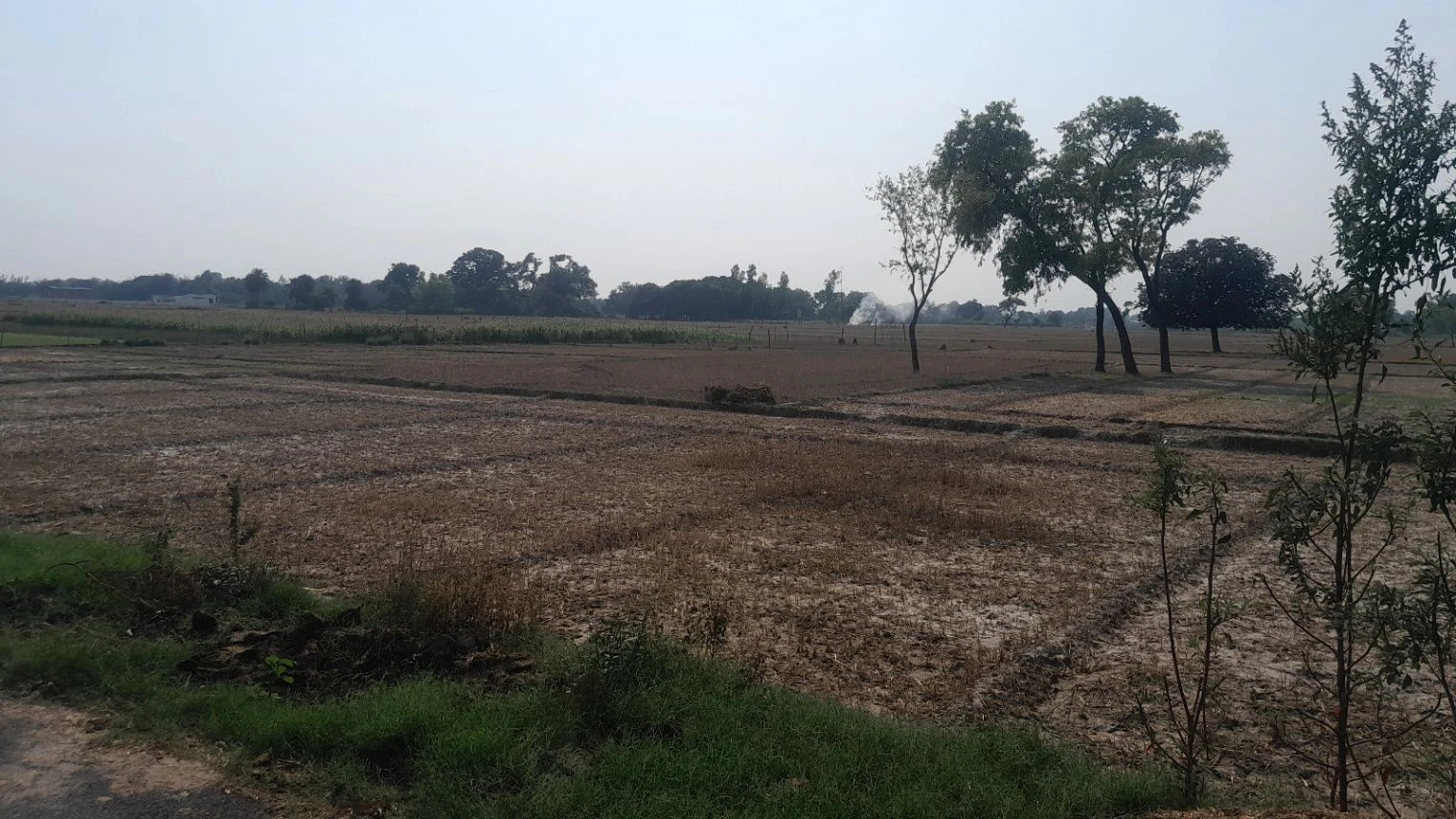 G7R7+CR Bela Gara, Uttar Pradesh, India