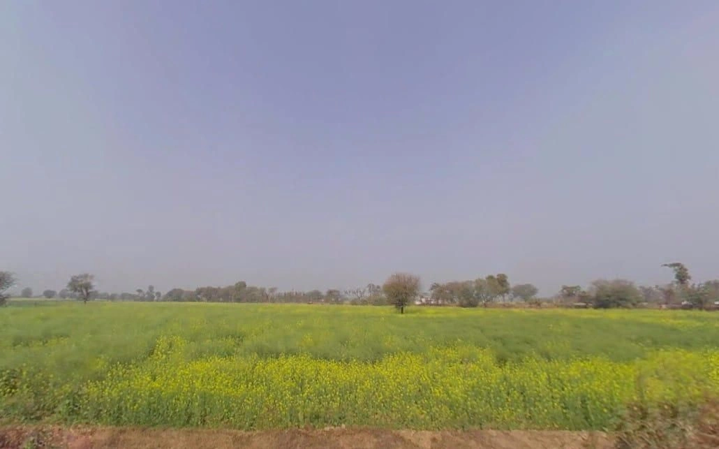 Laxmangarh, Rajasthan 321607, India