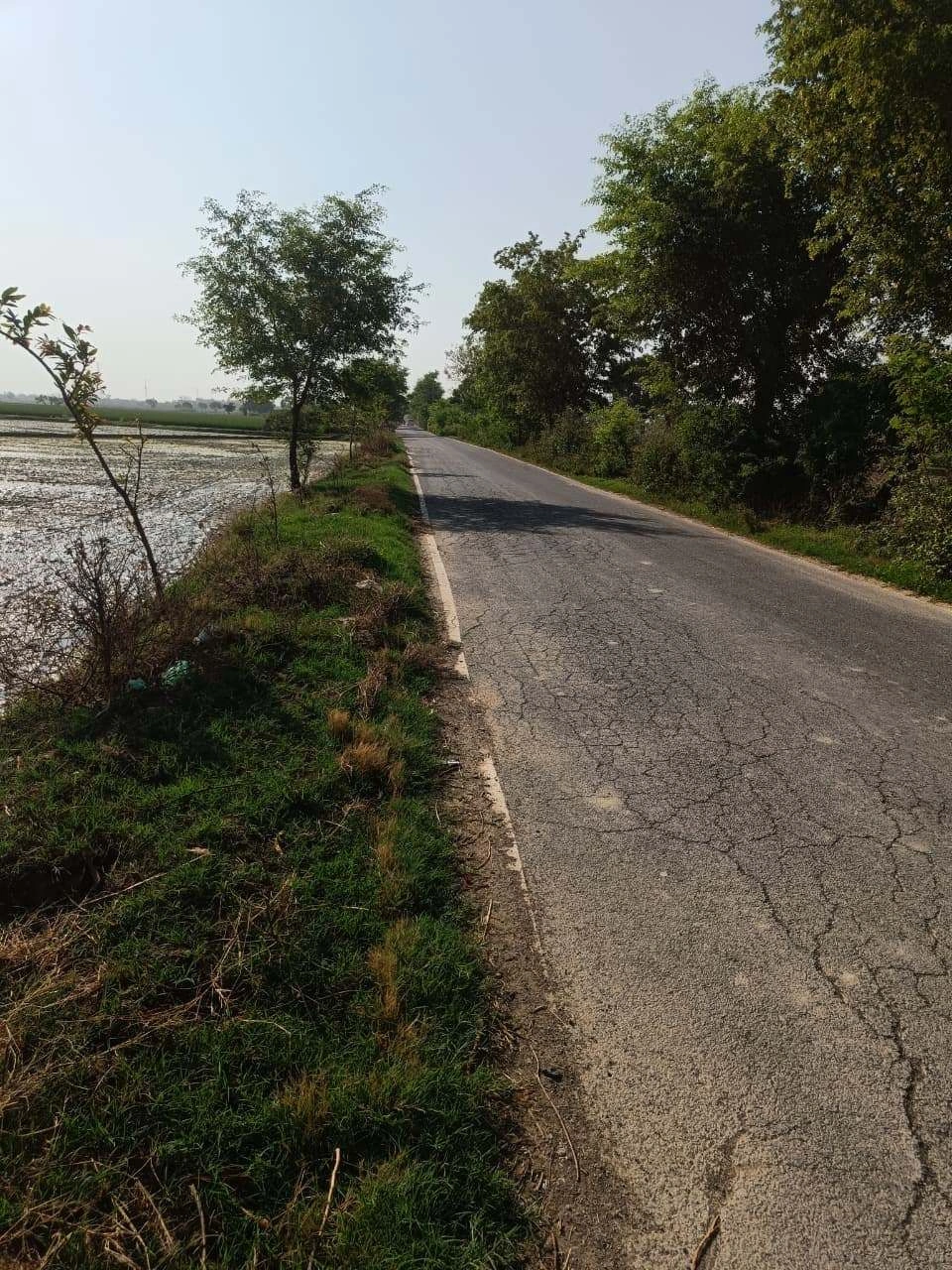 Gauhari, Uttar Pradesh 281401, India