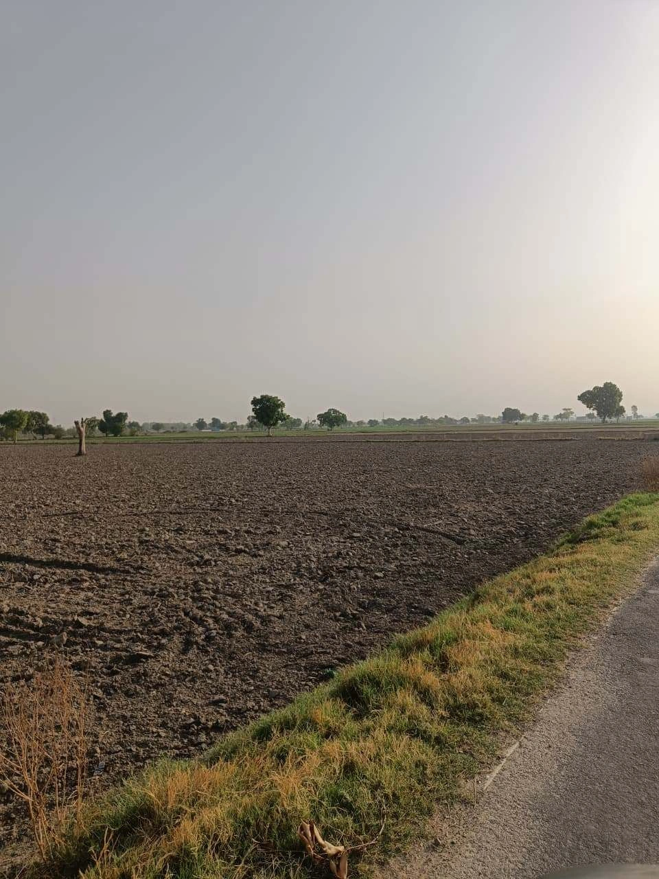 Tentigaon, Uttar Pradesh, India