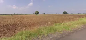 Nanasa, Madhya Pradesh, India preview 2