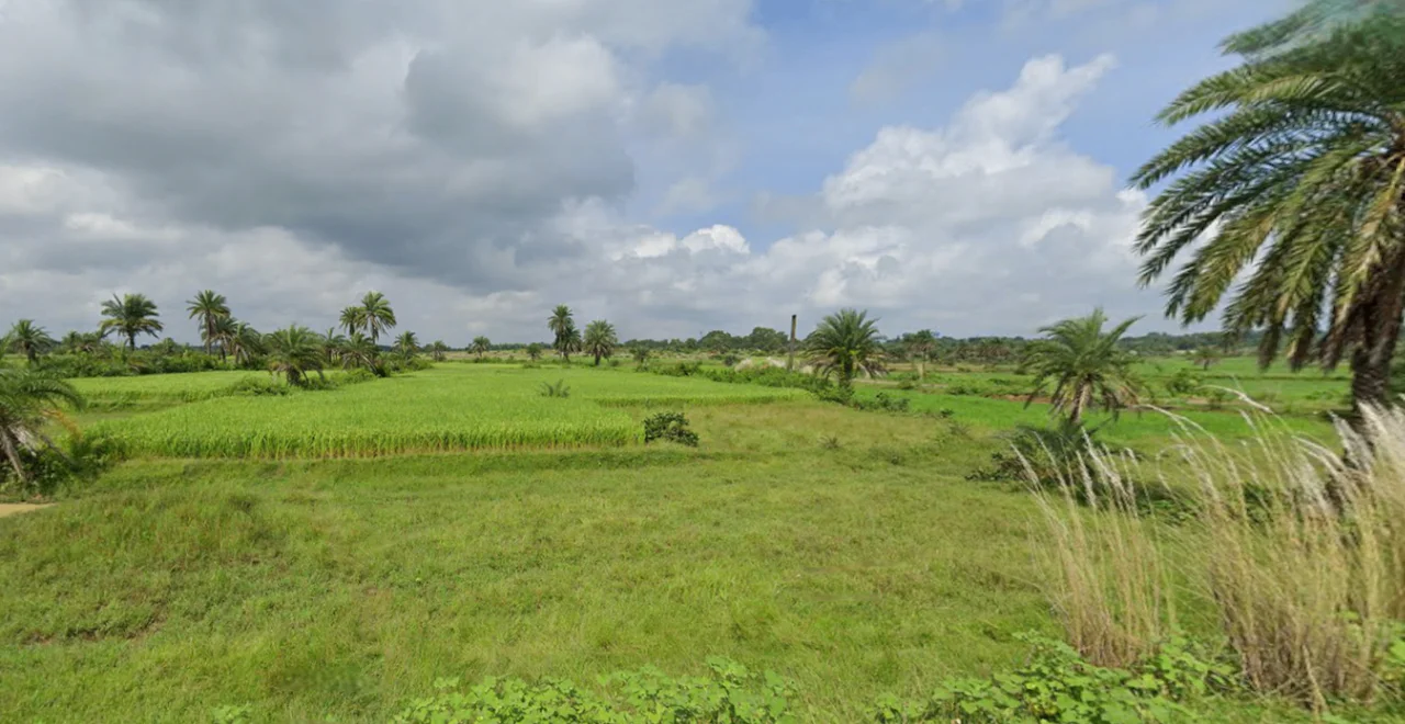 Kashipur, West Bengal 723132, India preview 2