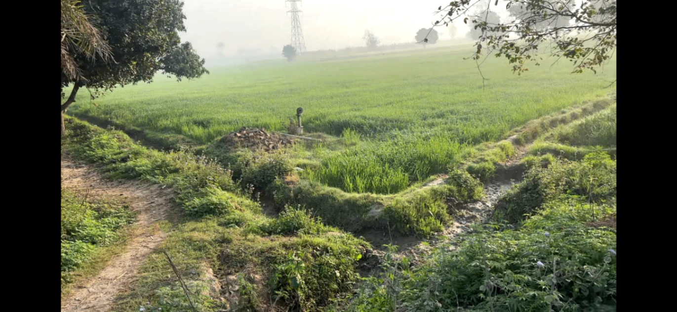Doula, Uttar Pradesh, India