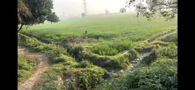 Doula, Uttar Pradesh, India preview 3