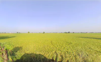 Rania, Haryana 125076, India preview 2