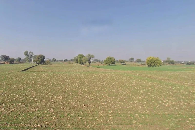 7QC6+6FM sadabahar farm house opposite shekhawati dhaba,ballop,bundi road kota, Ballop, Rajasthan 323021, India preview 2