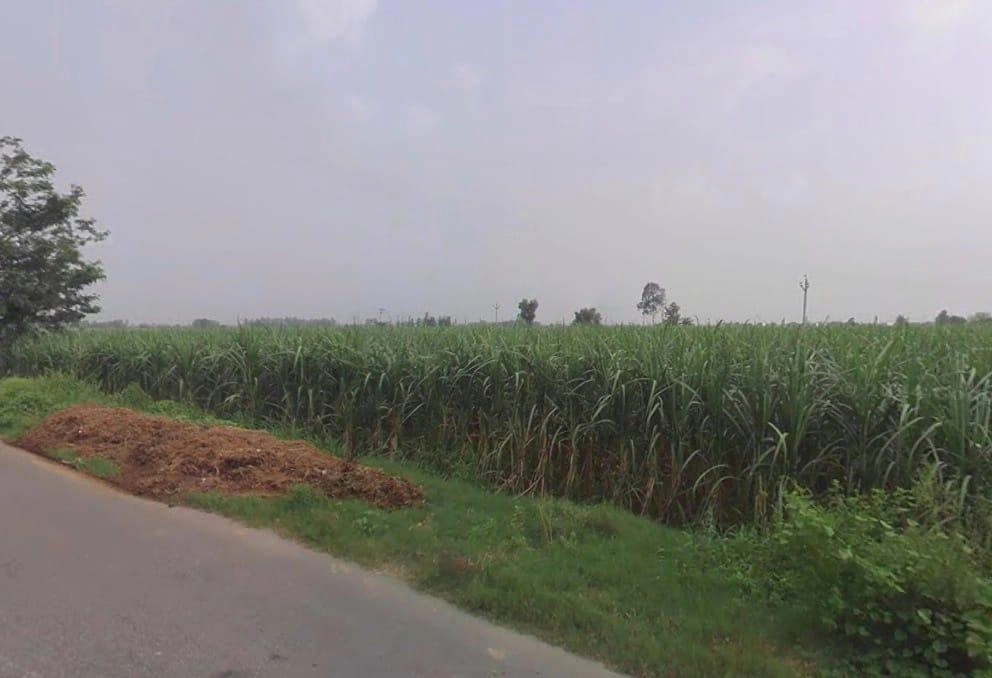 Bahsuma - Khatauli Rd, Kheri Kuresh, Tisang, Uttar Pradesh 251314, India