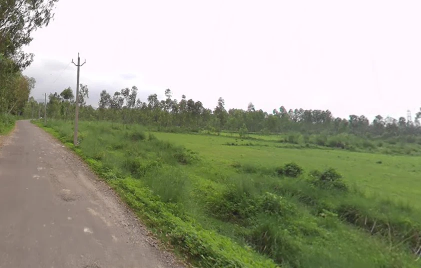 Mirzapur, Uttar Pradesh 247121, India