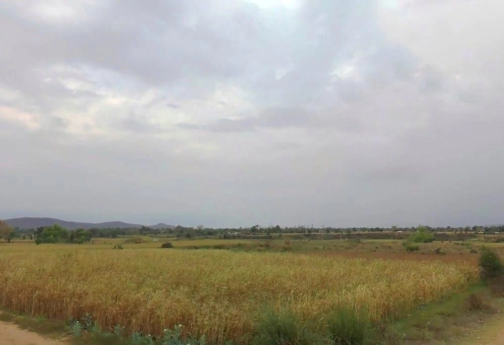 Bayana, Rajasthan 321401, India