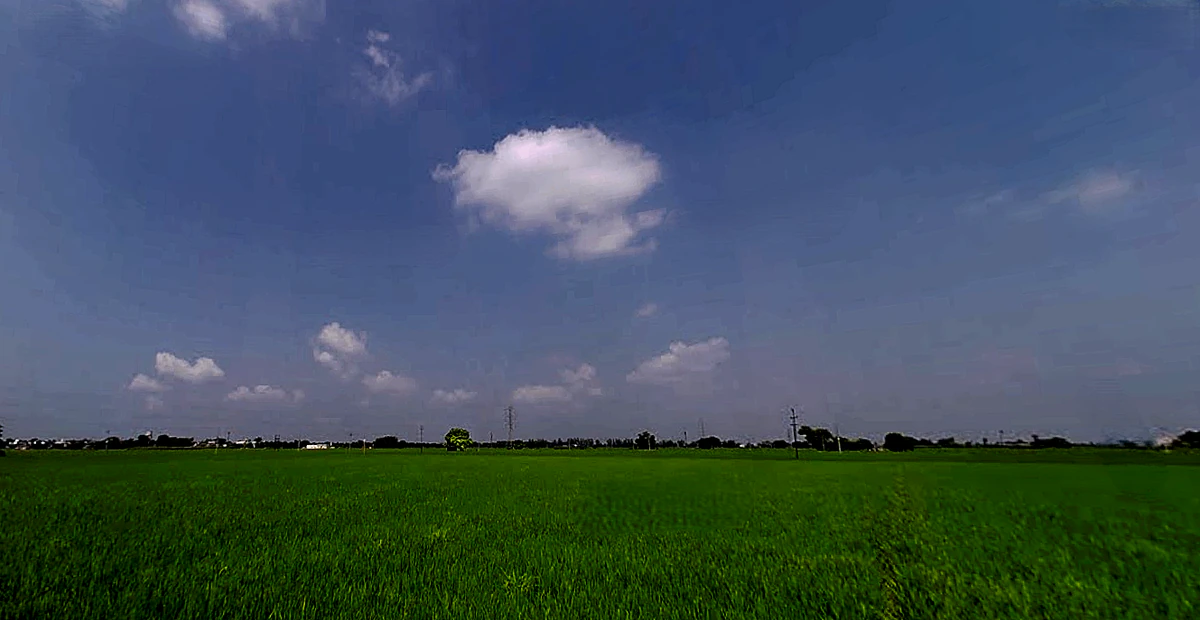 Seona, Patiala, Punjab 147006, India