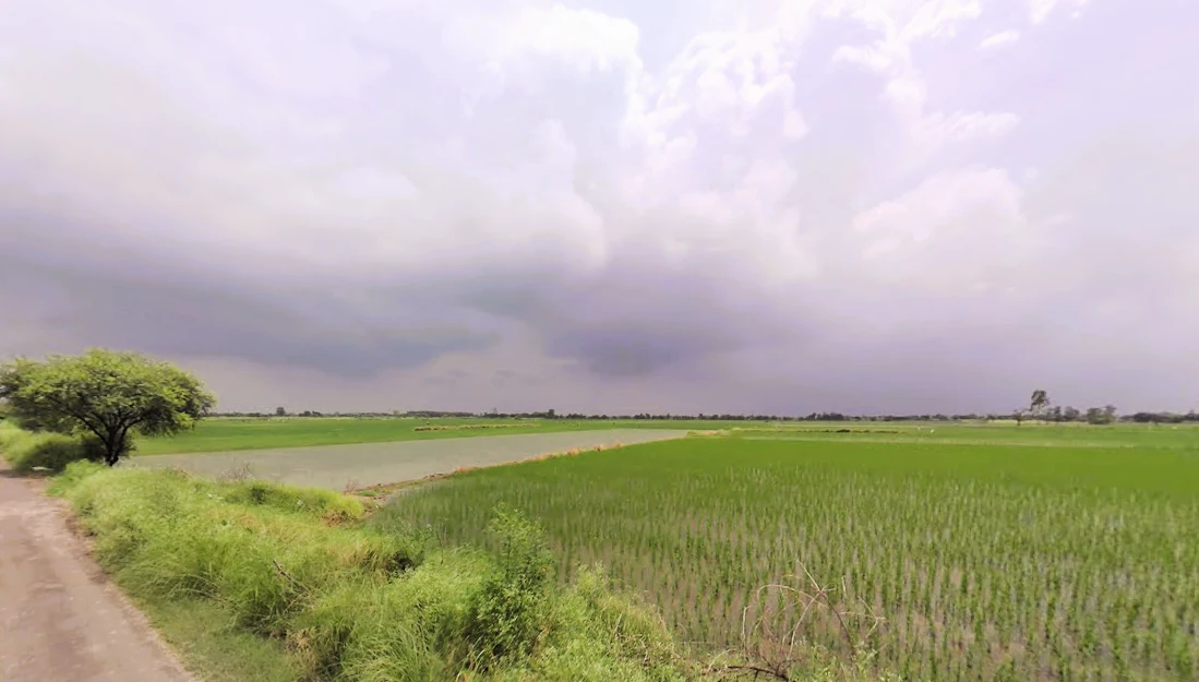 Pahrawar, Haryana 124021, India