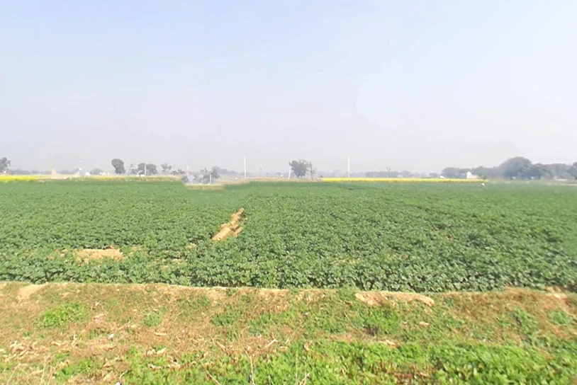 2VCW+RF Chandi Musta, Uttar Pradesh, India