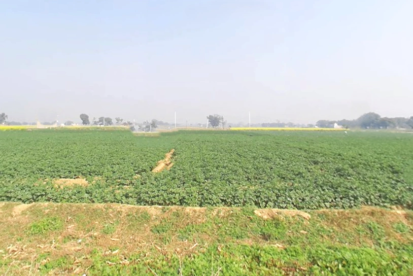 2VCW+RF Chandi Musta, Uttar Pradesh, India