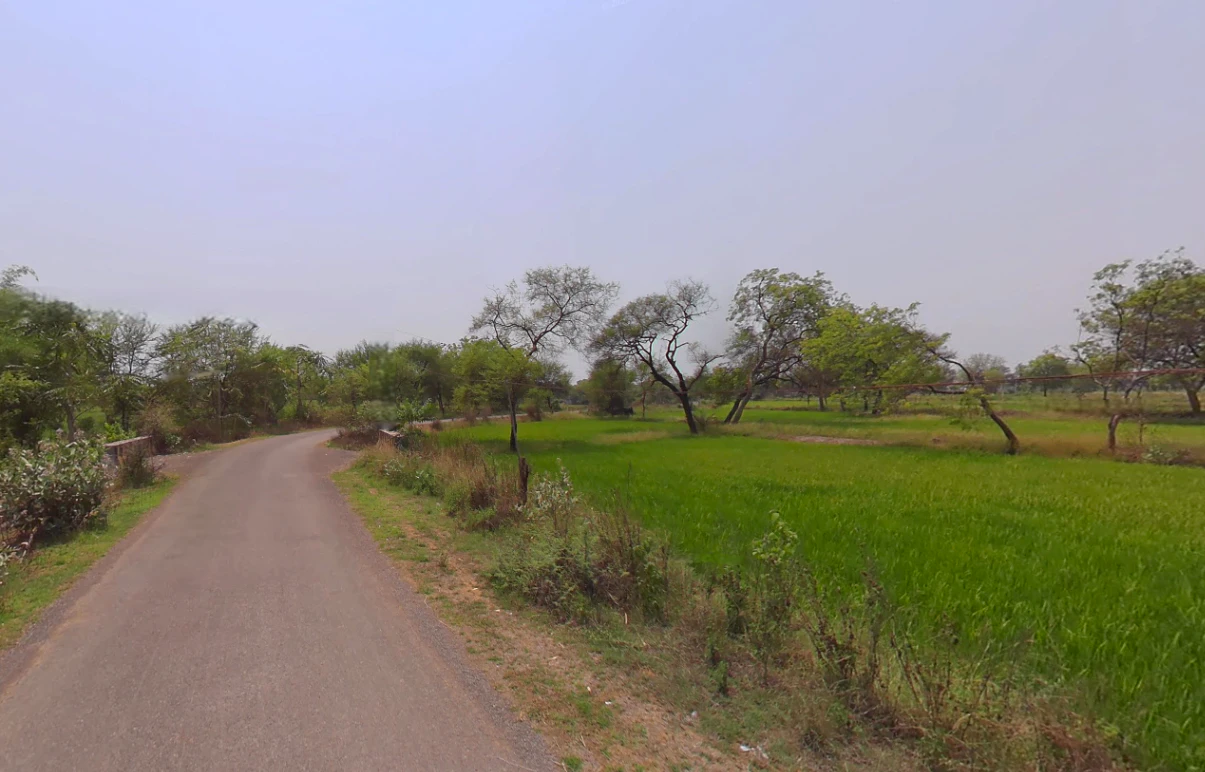 Bhalukonha, Chhattisgarh 491225, India