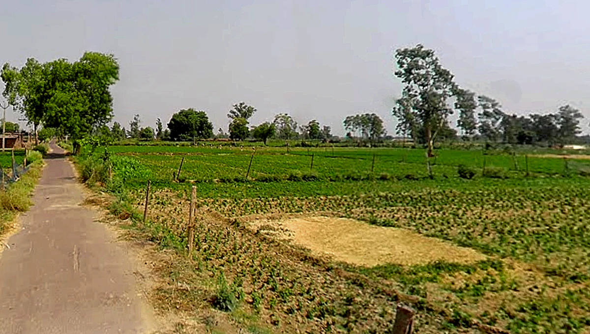 Rahmatnagar, Uttar Pradesh 226501, India