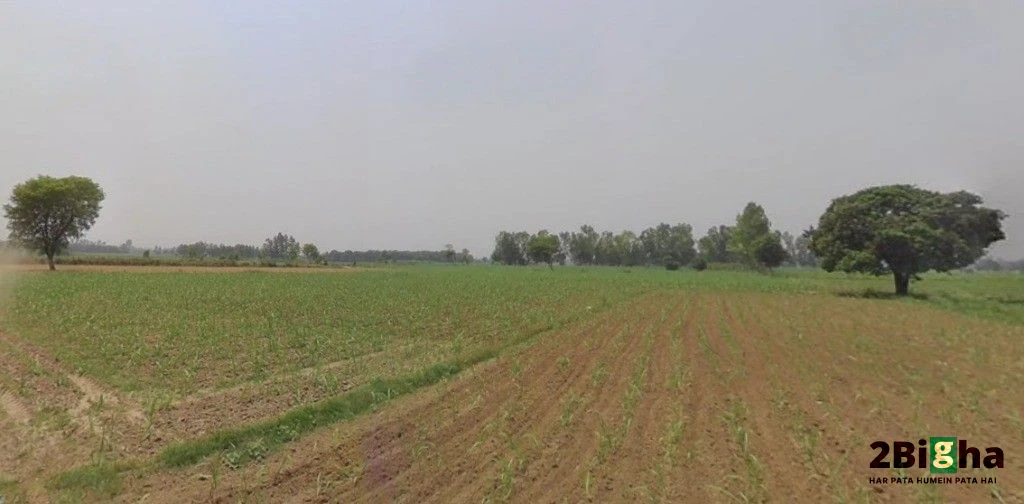 Hastinapur, Uttar Pradesh 250404, India