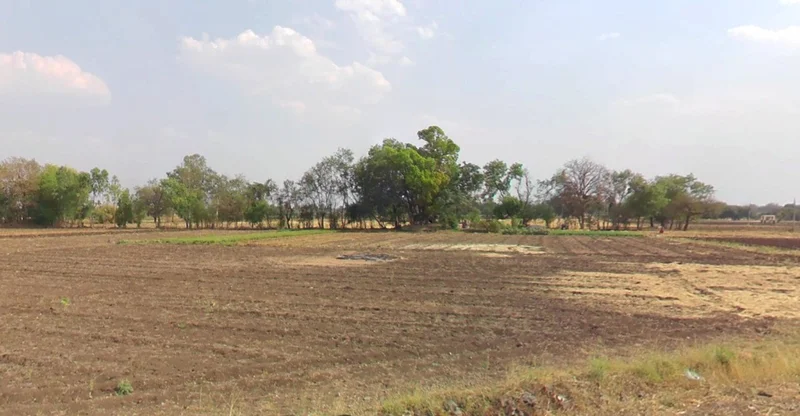 Nimbod, Madhya Pradesh 458669, India preview 2