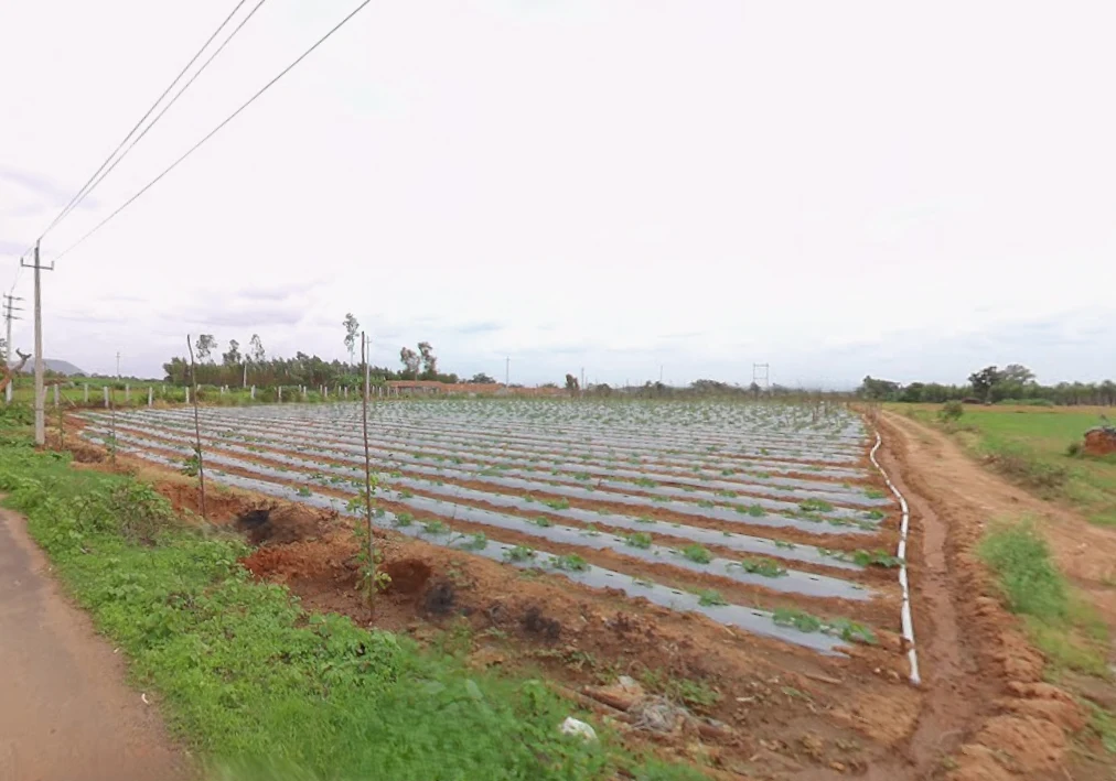 Melekote, Karnataka 561205, India