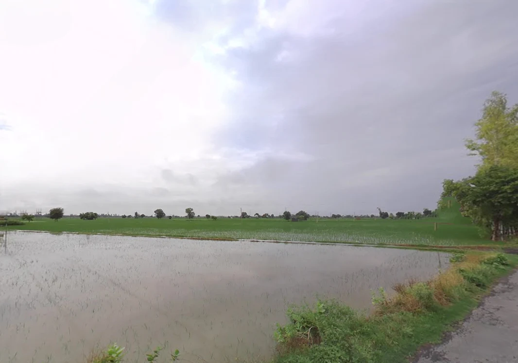 Hansu Majra, Haryana, India