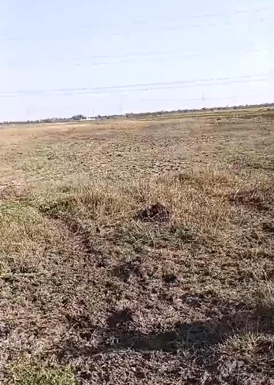 GH7H+57 Bamangam, Gujarat, India