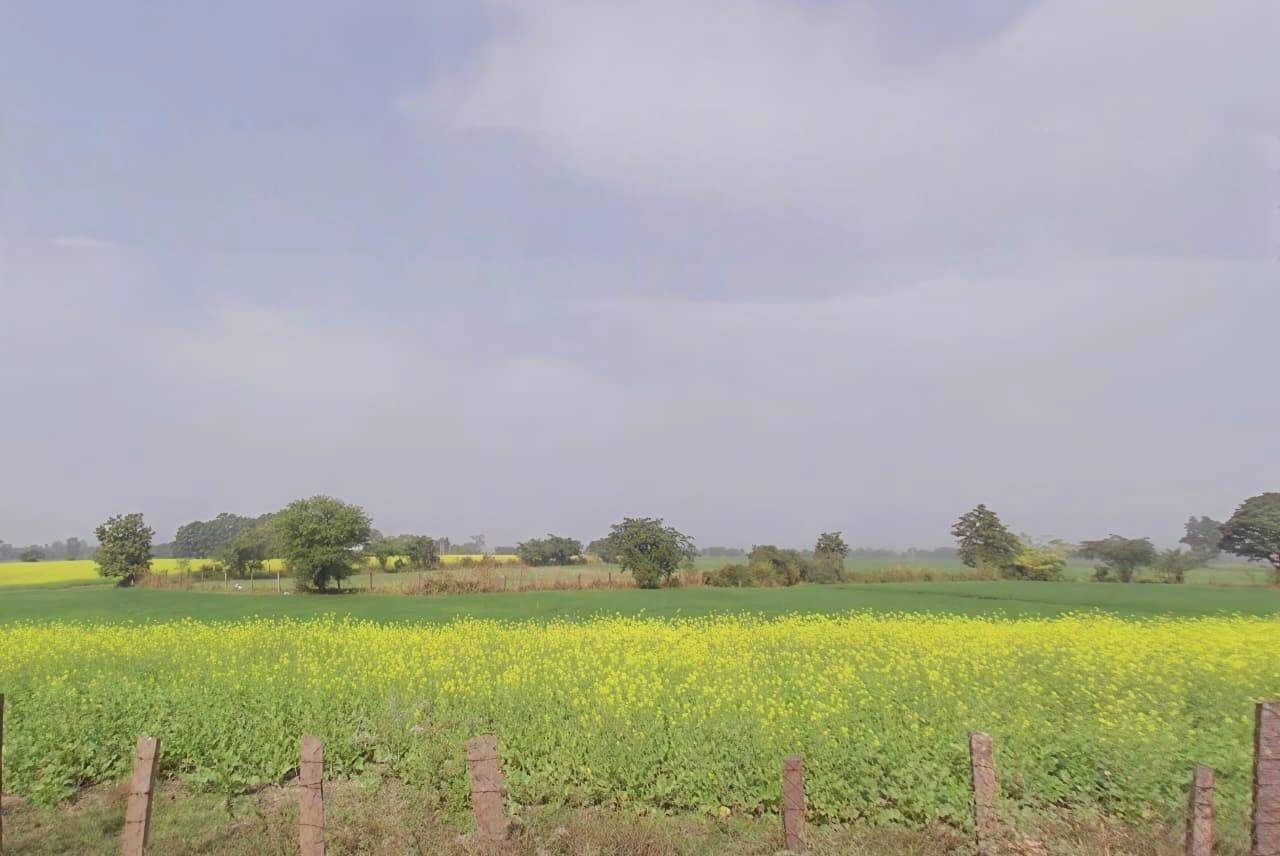 Bamhori, Madhya Pradesh 464551, India preview 3