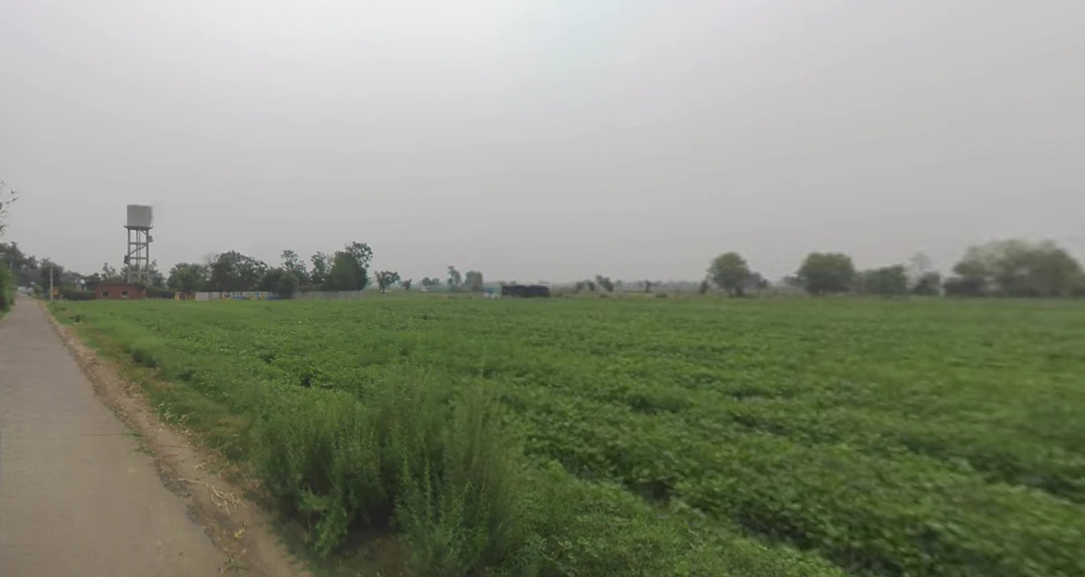 Ghanshyampur, Gujarat 363330, India