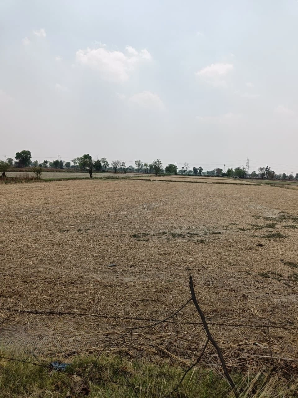 Bhoorasar, Bikaner, Rajasthan, India