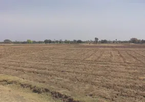 Raiyarao, Madhya Pradesh, India preview 2