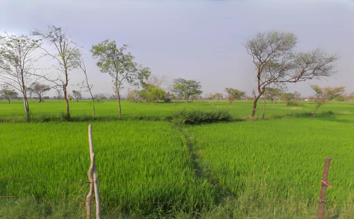 Saragaon, Chhattisgarh 493225, India