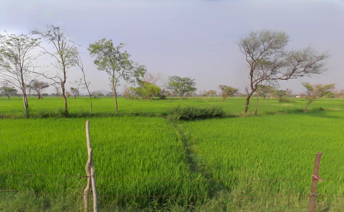 Saragaon, Chhattisgarh 493225, India