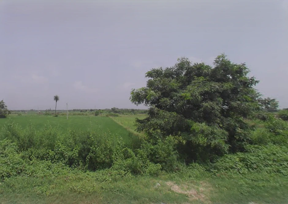 Rahra, Uttar Pradesh 244255, India