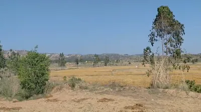 Raipur Rani, Haryana 134204, India preview 4