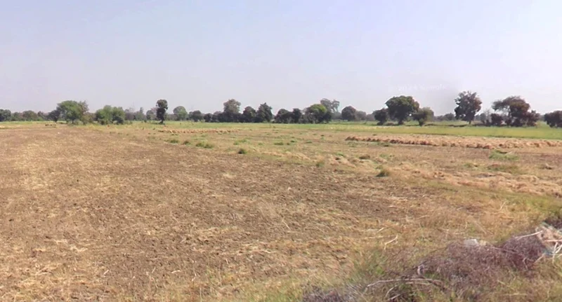 Kothi, Madhya Pradesh 485666, India preview 3