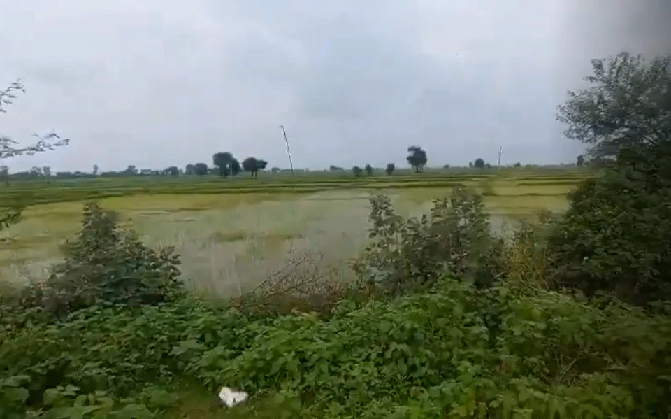 CPJQ+9G5, Raisen, Pagneshwar, Madhya Pradesh 464651, India