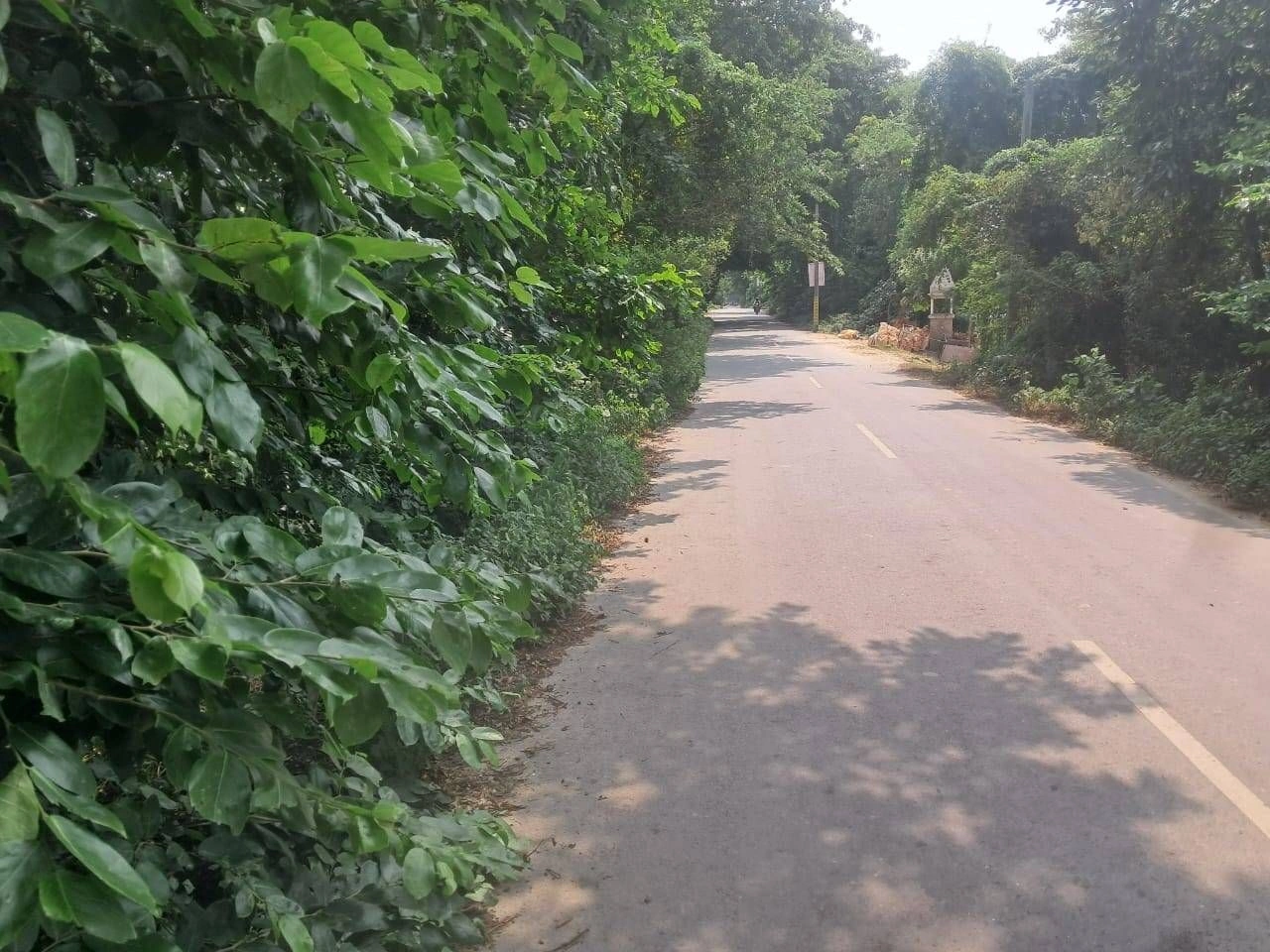 P692+9J Dadera, Ayodhya, Uttar Pradesh, India