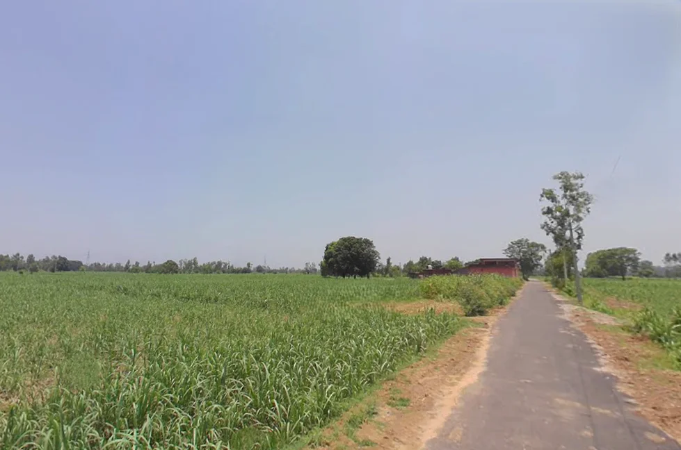 Dhanaura, Uttar Pradesh 244231, India preview 2