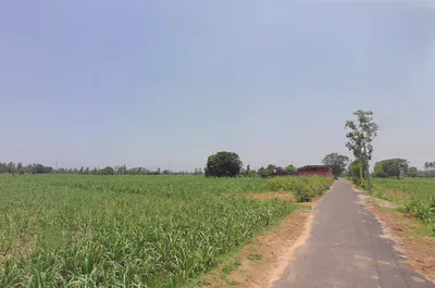 Dhanaura, Uttar Pradesh 244231, India preview 2