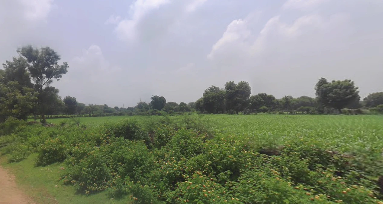 Udaipur, Rajasthan, India