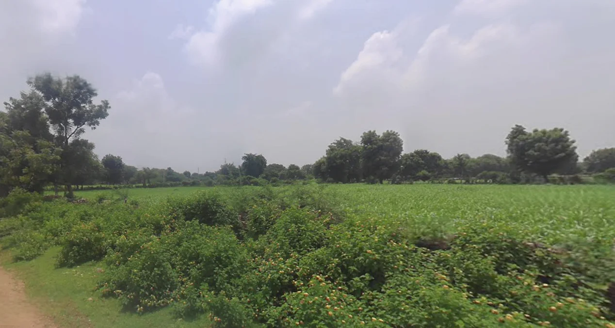 Udaipur, Rajasthan, India preview 2