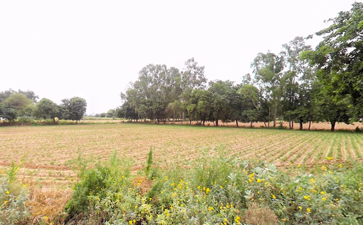 734Q+G5C, Sector 5, Sohna, Sohna Rural, Haryana 122103, India