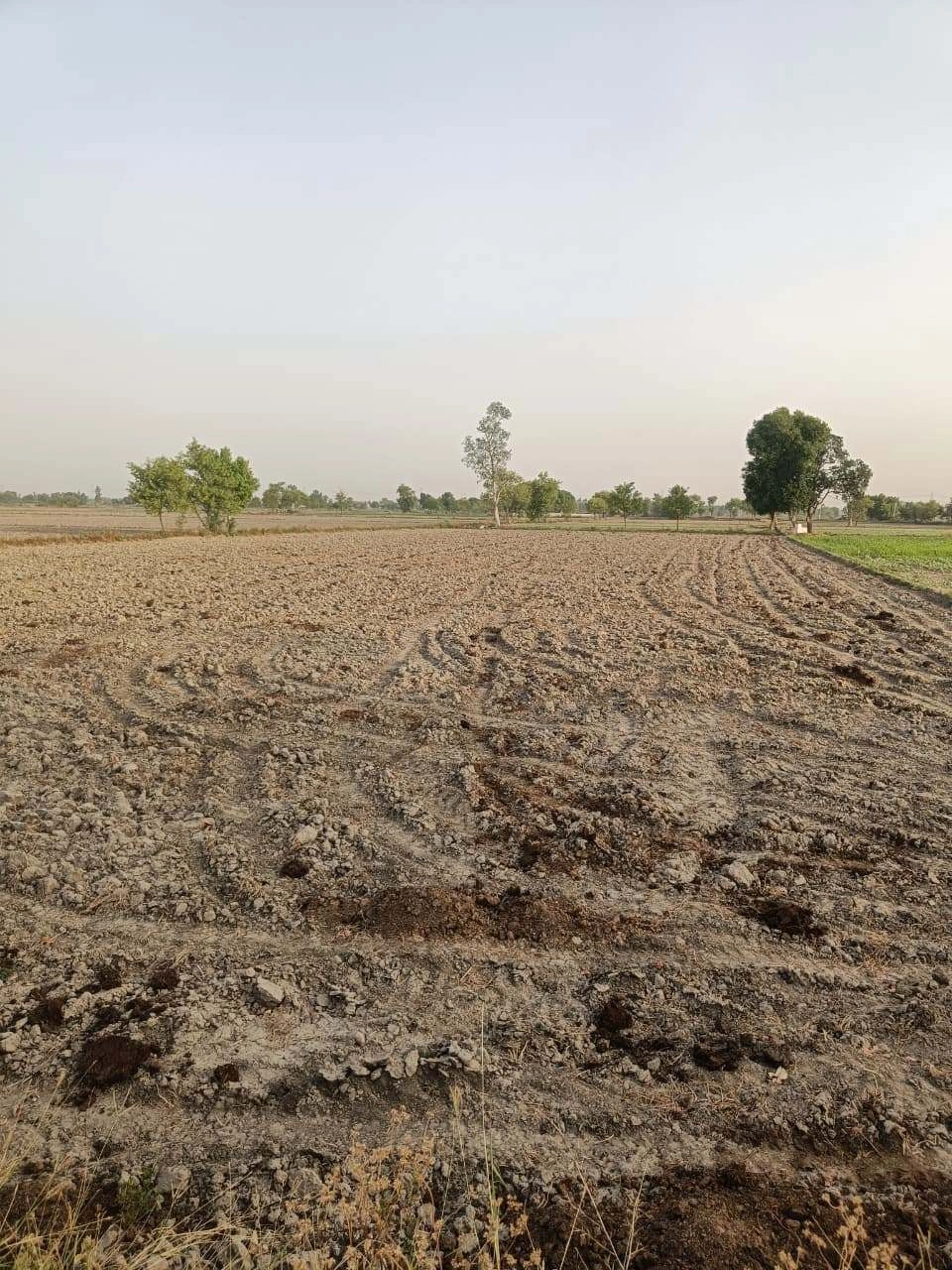 Ranjeetpura, Bikaner, Rajasthan 334305, India