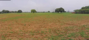 Laksar, Uttarakhand 247663, India preview 3